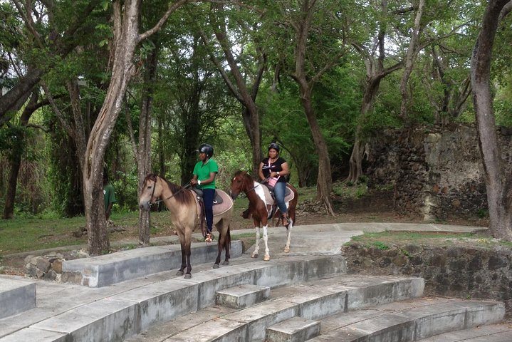 Nature & Historical Horseback Riding Tours St. Lucia