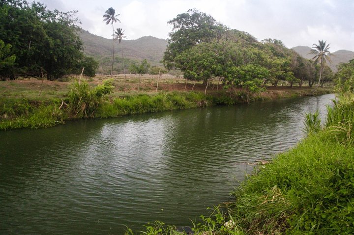 Nature & Historical Horseback Riding Tours St. Lucia