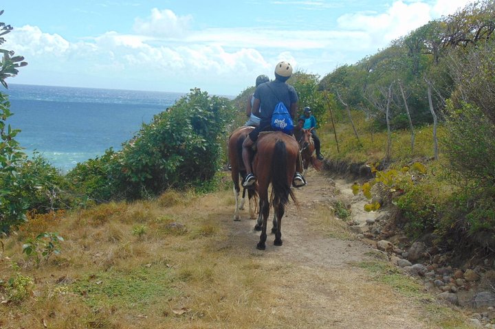 Nature & Historical Horseback Riding Tours St. Lucia
