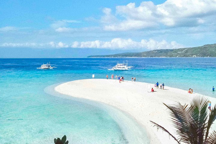 Whale Shark Watching with Sumilon Sandbar and Kawasan Falls Tour
