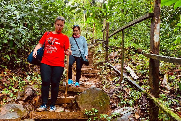 Seven Sisters Falls Hike / Annandale Falls / Grand Etang National Park & Lake