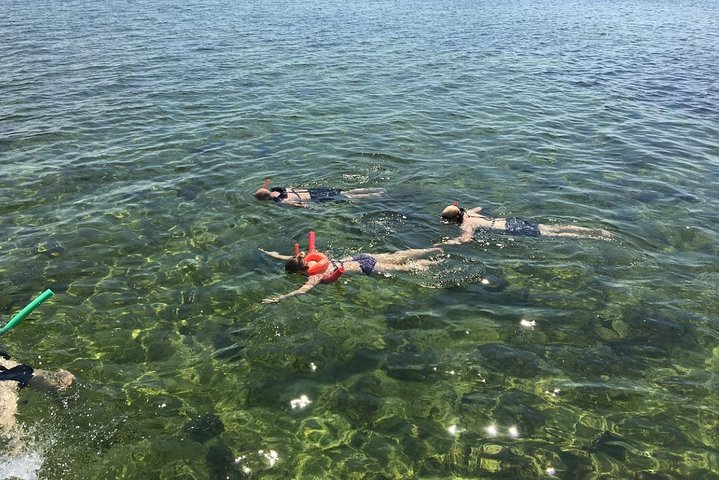 Key West Dolphin Watch and Snorkel Tour - Eco Adventure