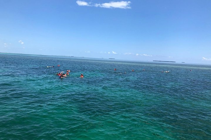 Key West Dolphin Watch and Snorkel Tour - Eco Adventure