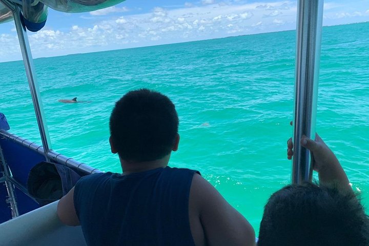 Key West Dolphin Watch and Snorkel Tour - Eco Adventure