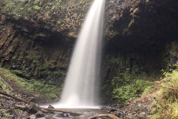 Multnomah Falls and Columbia River Gorge Half-Day Hiking Tour