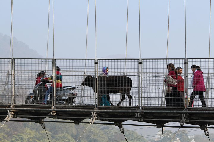 Private Walking Tour in Rishikesh