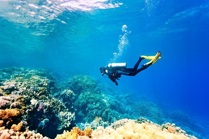 Hurghada Scuba Diving Full Day Boat Trip 2 Stops Diving & Lunch