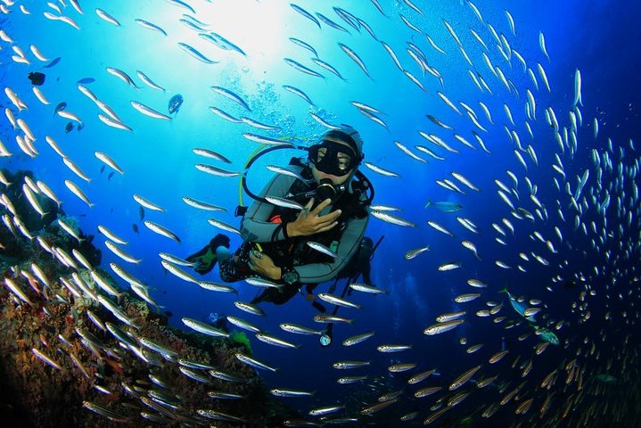 Hurghada Scuba Diving Full Day Boat Trip 2 Stops Diving & Lunch