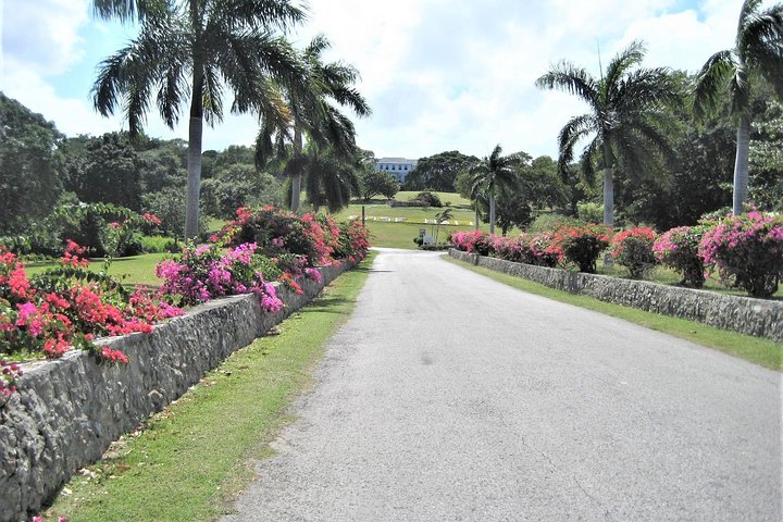Blue Hole, Secret Falls, and Dunn's River Falls Combo Day-Trip