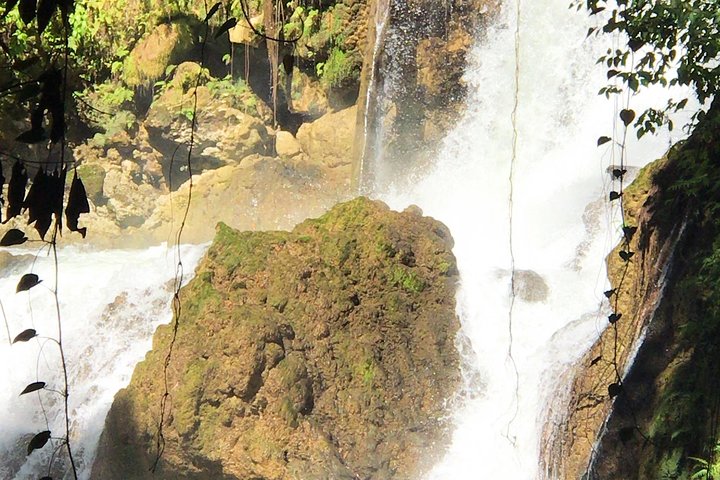 Ys Falls, Floyd’s Pelican Bar, Black River Safari