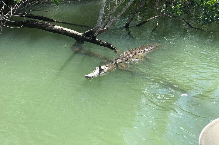 Ys Falls, Floyd’s Pelican Bar, Black River Safari
