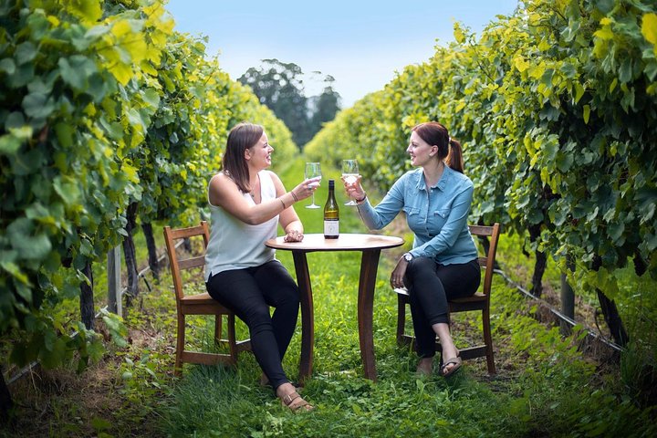 Half-Day Wine Tour from Picton