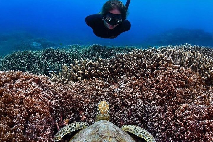 Bunaken Island three-point snorkeling includes lunch and shuttle