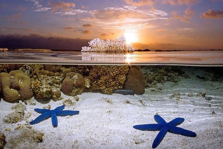 Bunaken Island three-point snorkeling includes lunch and shuttle