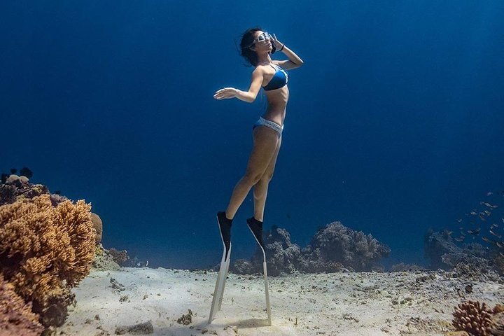 Bunaken Island three-point snorkeling includes lunch and shuttle