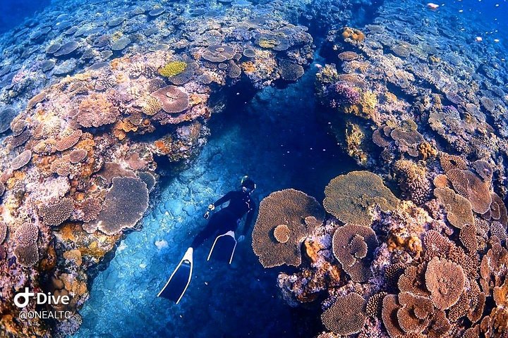 Bunaken Island three-point snorkeling includes lunch and shuttle