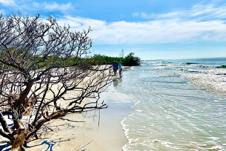 Clear Kayak Tour of Shell Key Preserve and Tampa Bay Area