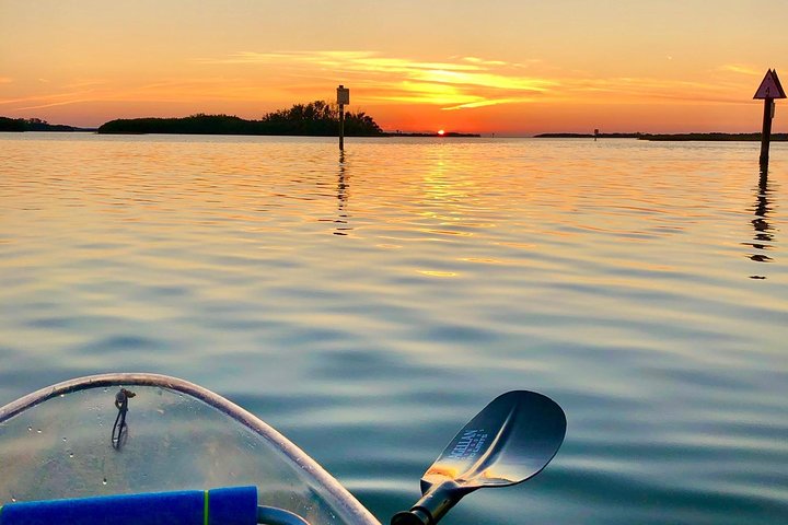 Clear Kayak Tour of Shell Key Preserve and Tampa Bay Area
