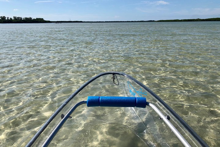 Clear Kayak Tour of Shell Key Preserve and Tampa Bay Area
