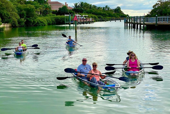 Clear Kayak Tour of Shell Key Preserve and Tampa Bay Area