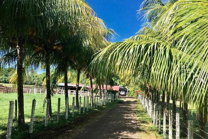 Horseback Riding Private Tour