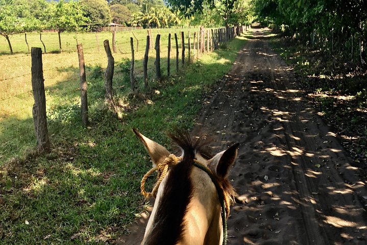 Horseback Riding Private Tour