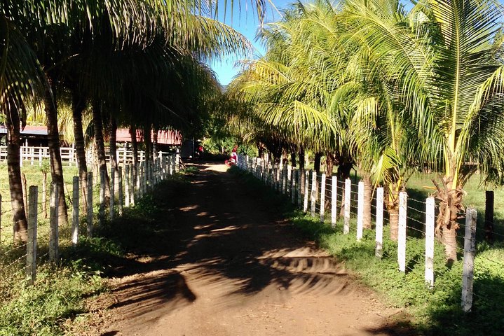 Horseback Riding Private Tour