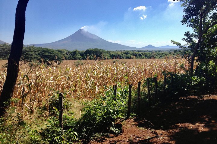 Horseback Riding Private Tour