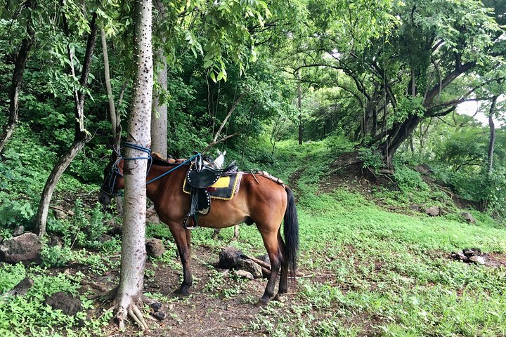 Horseback Riding Private Tour