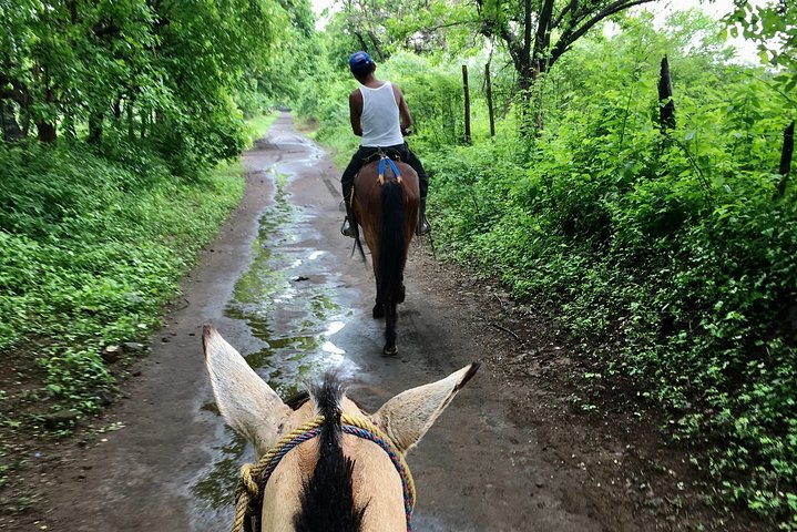 Horseback Riding Private Tour
