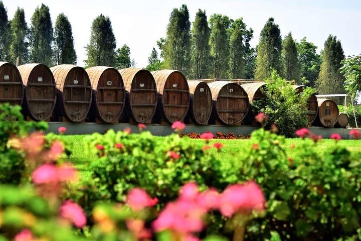 Winery and Pisco Distillery tour