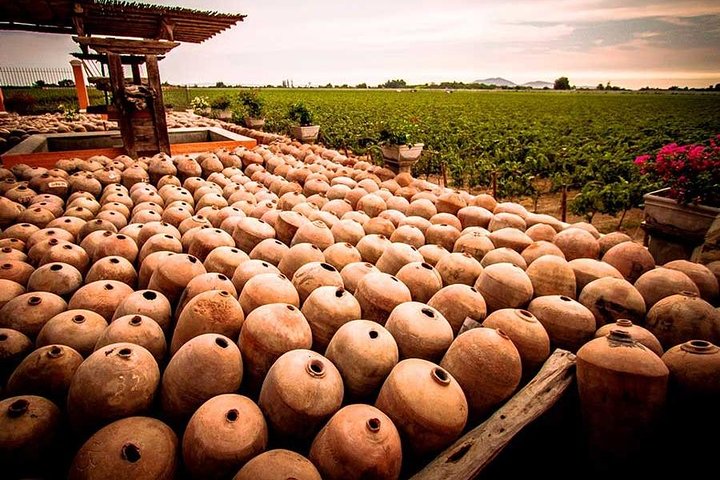 Winery and Pisco Distillery tour