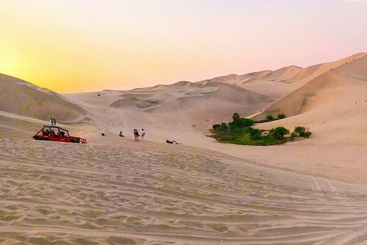 Nazca Lines and Dune Buggy (Huacachina) from Ica