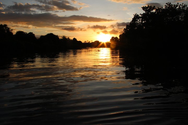 Borneo (Klias) River Cruise & Fireflies Tour