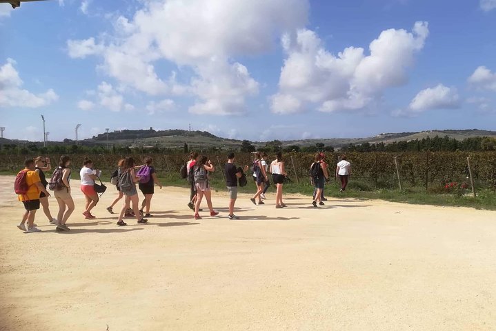 Half Day Private Tour Around Malta