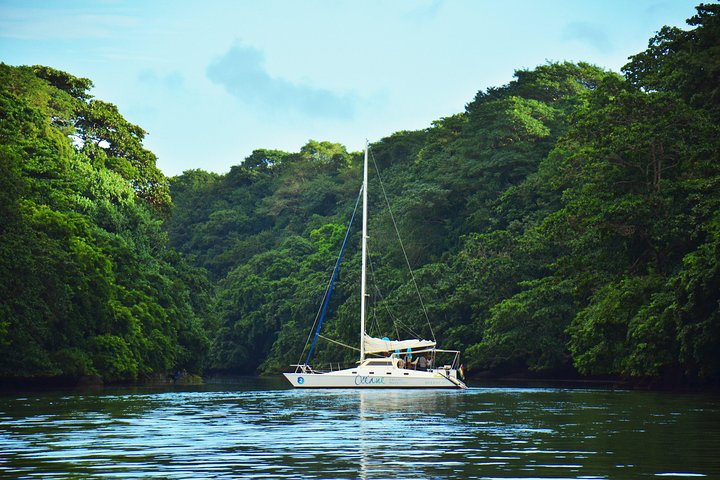 Ile Aux Cerfs full day shared catamaran with BBQ lunch & drinks