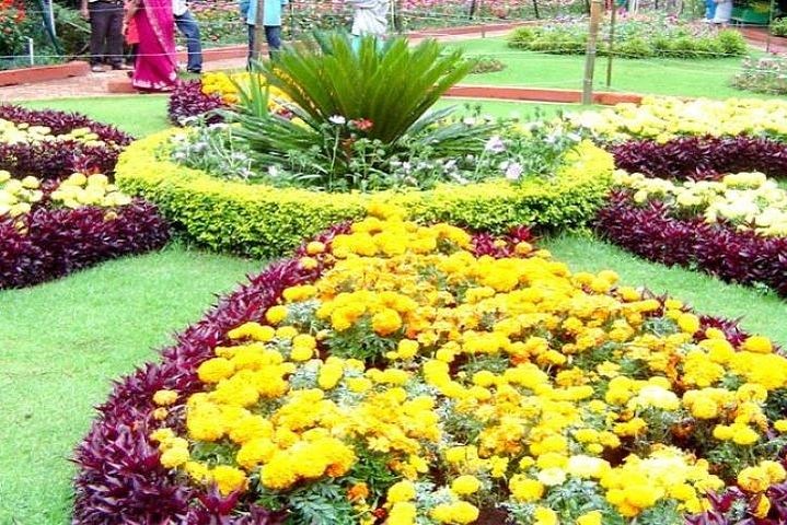 Private Custom Tour: Ooty Sightseeing with Guide