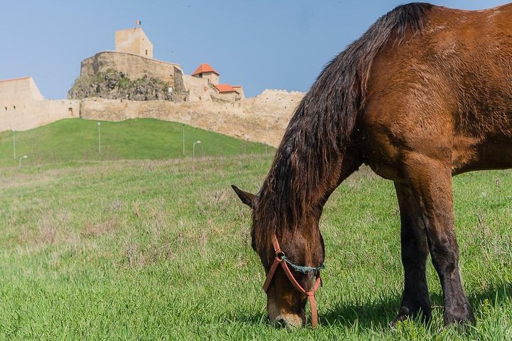 Footsteps of Saxons day tour, in Transylvania, from Targu Mures