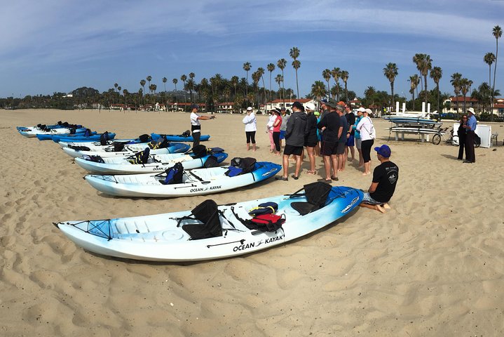 Kayak Tour of Santa Barbara with Experienced Guide