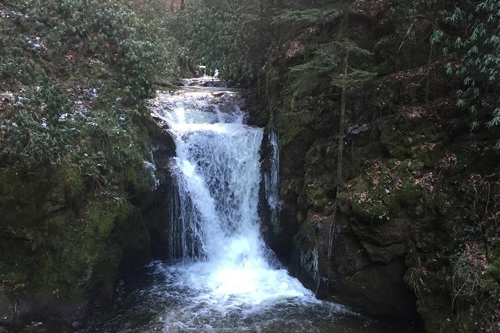Black Forest Day Tour