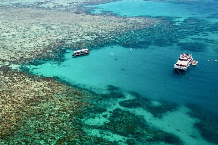 Ocean Freedom: Great Barrier Reef Stylish Snorkel, Dive Reef Tour