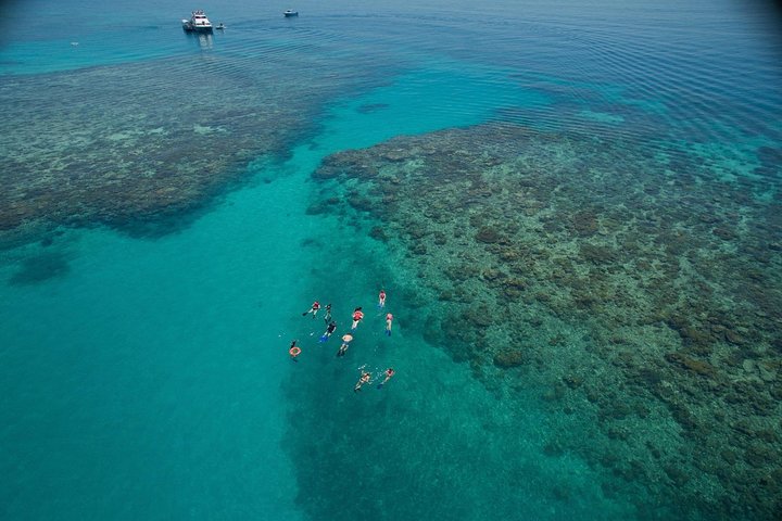 Ocean Freedom: Great Barrier Reef Stylish Snorkel, Dive Reef Tour