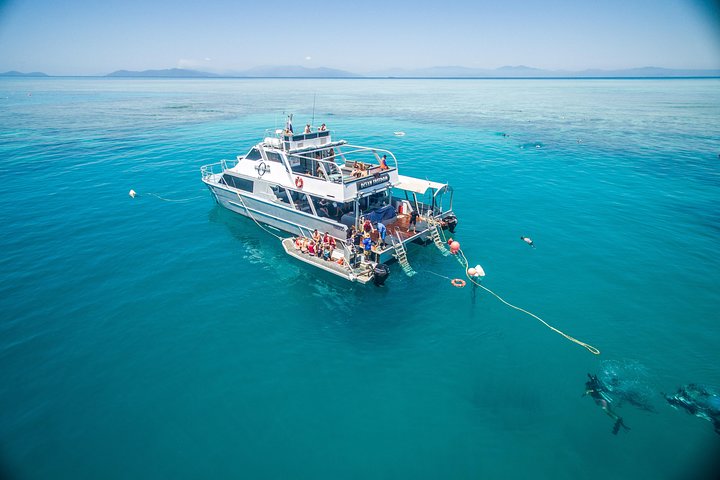 Ocean Freedom: Great Barrier Reef Stylish Snorkel, Dive Reef Tour