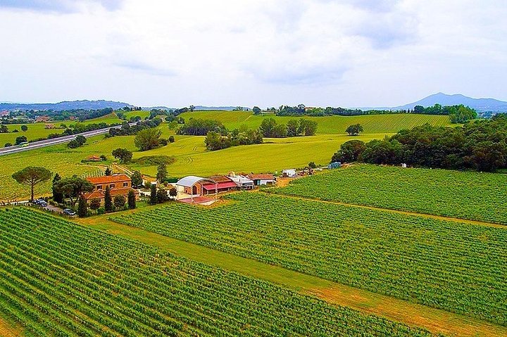 Romantic Vespa Tour and Wine Tasting