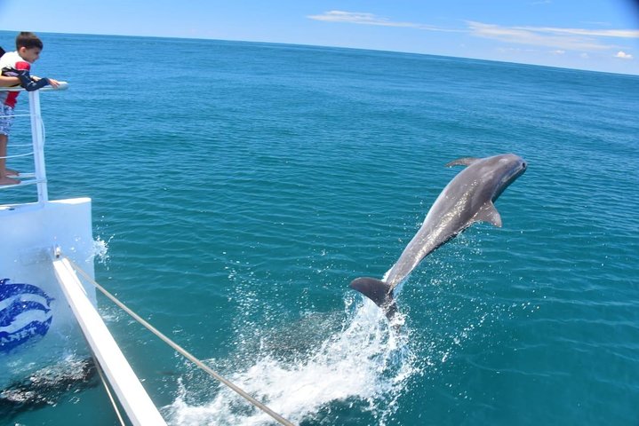 All Inclusive Catamaran Eco Adventure from Manuel Antonio