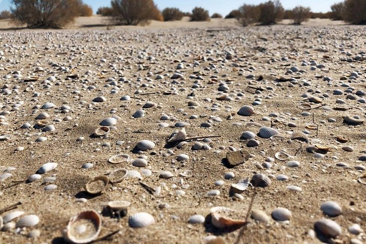 Aral Sea - Lost Paradise