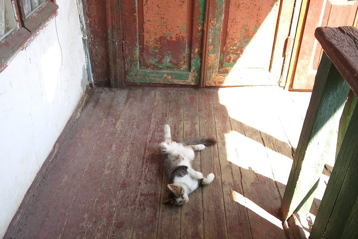 Courtyards of Odesa