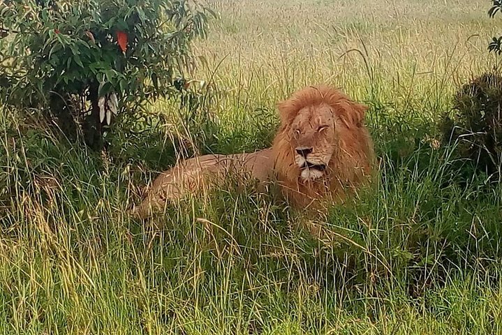 Tsavo National Park Small group Day trip