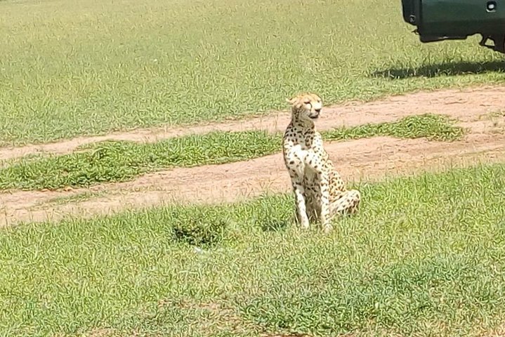 Tsavo National Park Small group Day trip