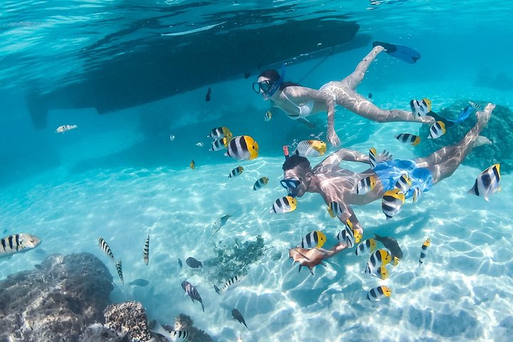 PRIVATE Half Day Tour : Moorea Snorkeling & Sailing on a Catamaran named Taboo